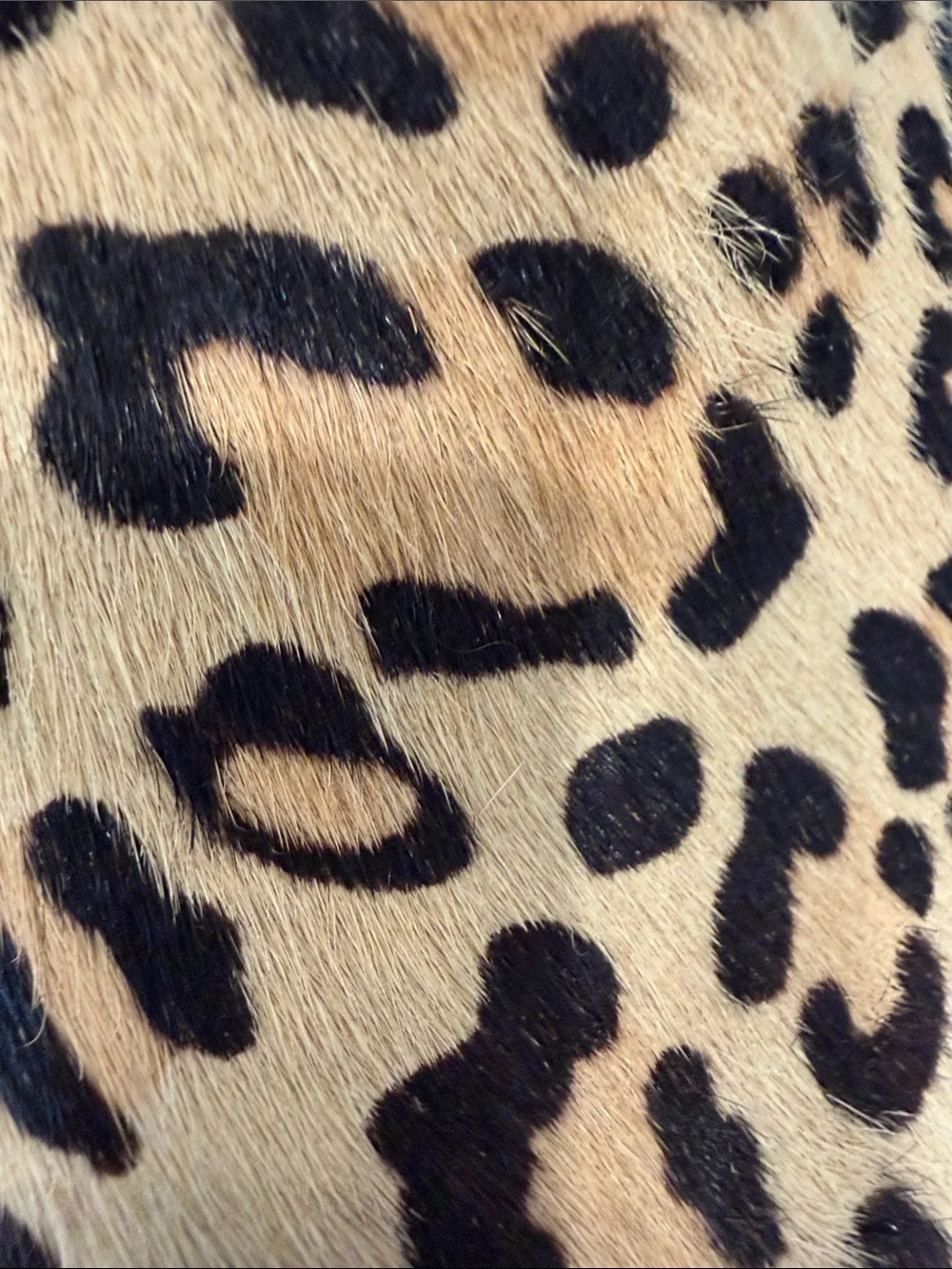 Kate Spade Keds Calf Hair Leopard Print Sneaker
